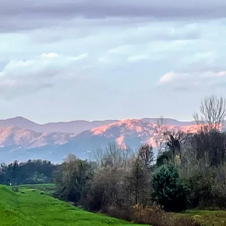 La Dimora Di Corte