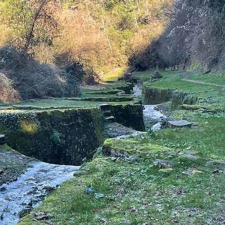 La Dimora Di Corte * Lucca